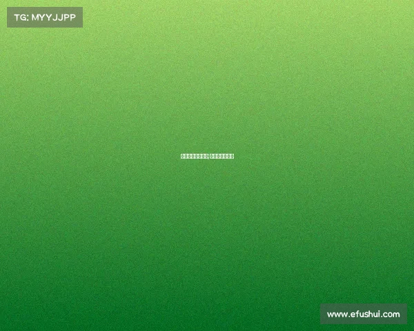 电子竞技专业书籍;电子竞技类书籍